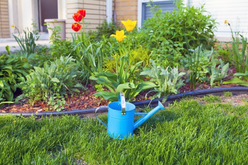 A rectangular backyard garden with a well-maintained green lawn in the foreground, featuring dense, evenly cut grass. Behind the lawn, there is a garden bed edged with dark plastic edging, filled with a variety of flowering plants and shrubs, including yellow and red tulips, and other leafy greenery with different textures and shades of green. In the center of the garden bed, a large, healthy tulip with yellow petals and broad green leaves stands prominently. To the right of the tulip, a bush with vibrant green foliage extends upward, partially obscuring a background structure which appears to be a light-colored house with windows and siding. In the lower part of the image, a blue watering can is placed on the lawn, suggesting recent garden activity. The overall scene is outdoors, illuminated by natural daylight, indicating a clear weather condition, suitable for gardening and outdoor maintenance activities, directly relating to services offered by Hedge Trimming Kentish Town in the N19 postcode area.