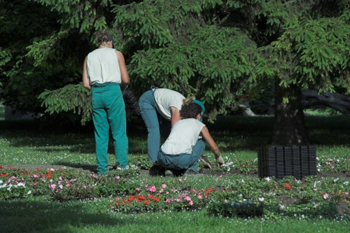The image depicts three individuals engaged in gardening activities in a landscaped outdoor space, likely part of a garden maintained by Hedge Trimming Kentish Town. In the foreground, a neatly maintained flower bed features small, colorful flowering plants arranged along the edge of a well-trimmed grassy lawn. Two people are crouching down, actively tending to the plants, while a third stands nearby, observing or assisting. Behind them, a large, dense evergreen hedge or tree provides a lush green backdrop, creating a natural boundary for the garden. The surface comprises vibrant green grass with a uniform, healthy appearance, contrasted by the darker foliage of the trees and hedge, and bordered by soil or mulch around the flower beds. The scene is lit by natural daylight, suggesting an outdoor setting during fine weather, which complements the professional gardening work being carried out as part of landscaping or garden maintenance services offered by Hedge Trimming Kentish Town in the NW postcode area, near Kentish Town.