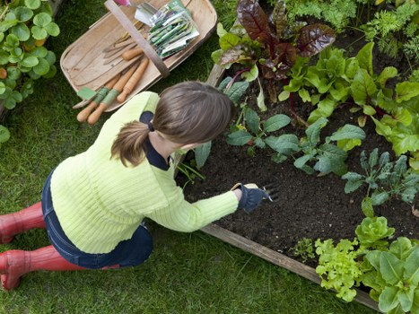 Insured crew removing green waste from a communal garden