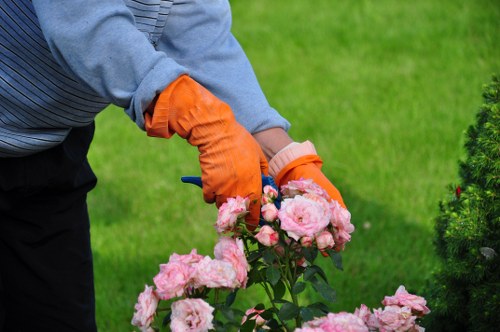 Safe, insured hedge trimming team finishing a job in Kentish Town