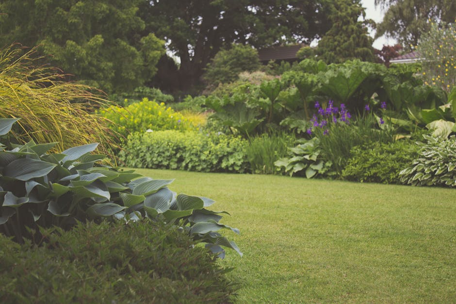 A close-up view of a garden area featuring various potted plants, including leafy green and variegated plants with broad, textured leaves. The soil in the pots appears moist and well-maintained. In th